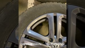 Зимние колёса R18 Фольксваген Тигуан