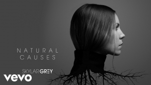  Skylar Grey - Kill For You (Audio) ft. Eminem