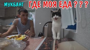 ПОЛОЖИЛ ПЛИТКУ / КУШАЕМ С КОТОМ / КУПАЮСЬ В БАССЕЙНЕ / УБРАЛСЯ В О ДВОРЕ / МУКБАНГ