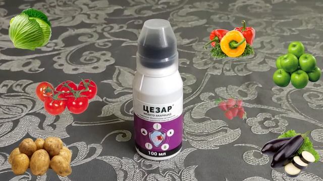 Инсекто-акарицид "Цезар" - ProtectON / Израиль | MARAKAY•SHOW смотреть онлайн