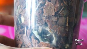 ДЫРКИ В ГОРШКАХ: ДЕЛАТЬ ИЛИ НЕТ?