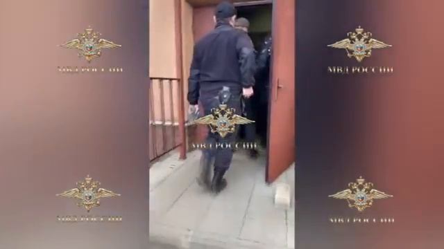 МВД России публикует видео задержания мужчины, возможно причастного к резонансному преступлению