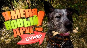 Умный пес_Война только начинается & Far cry 5 Прохождение (часть 3)