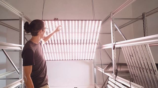 NEVA | Флагманский Led светильник для растений.