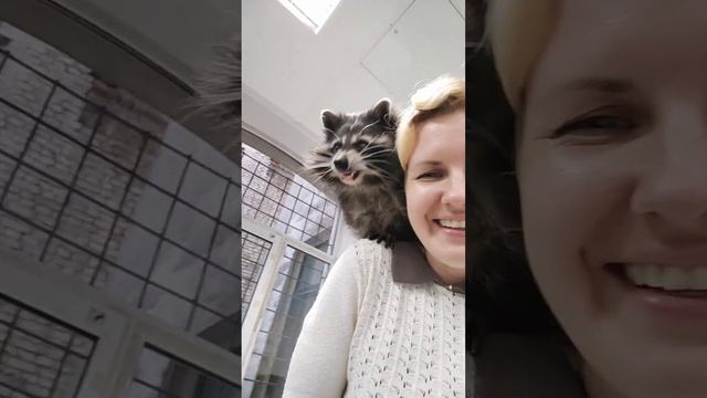 Эти забавные дикие животные смотреть онлайн