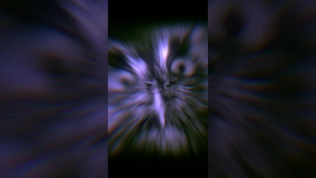 Owl Sova Funk #myrmexx #phonkedit #phonk #edit #brazilianphonk #funk #brazilianfunk #owl #сова