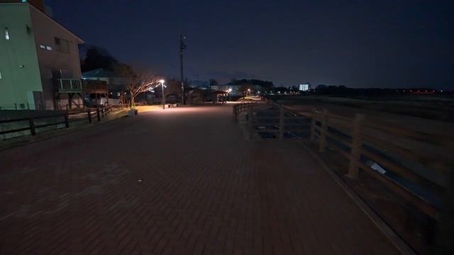 Walking at night Oyama, Tochigi