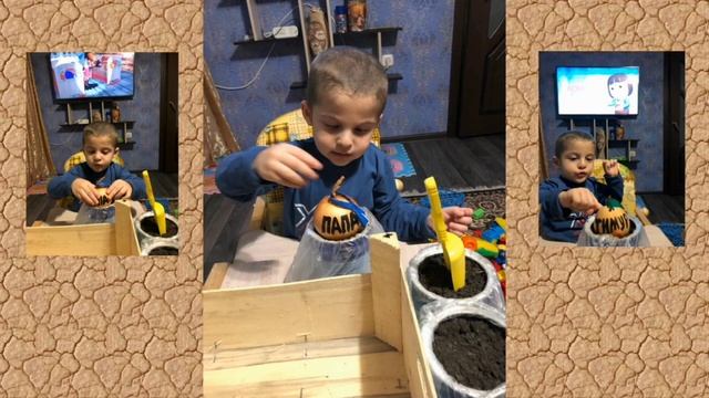 Отчет о проекте Огород на окне