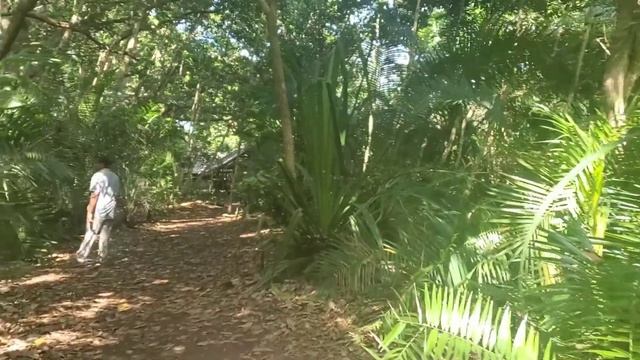 TZ10: I'm Not Gonna Cook it, But I'll Order it From Zanzibar смотреть онлайн