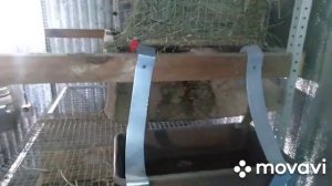 Содержание кроликов в помещении. Вентиляция.