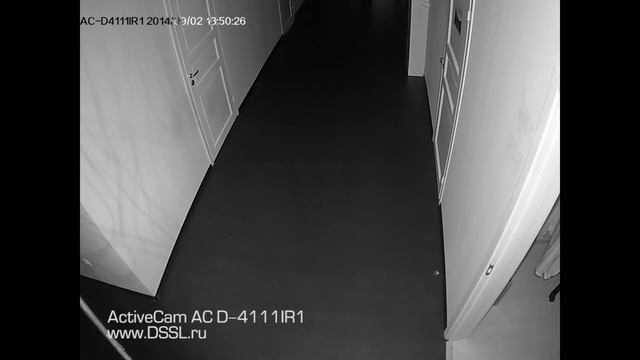 Камера зафиксировала призрака! Шок! Смотри с 0:07 сек смотреть онлайн