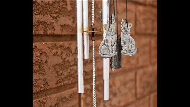 The Cat Breeder смотреть онлайн