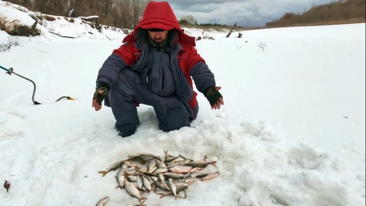 ЕХАЛ ЗА ЩУКОЙ , А НАЛОВИЛ !!! Рыбалка на Оби ( Сузун ) 14 января 2024г.