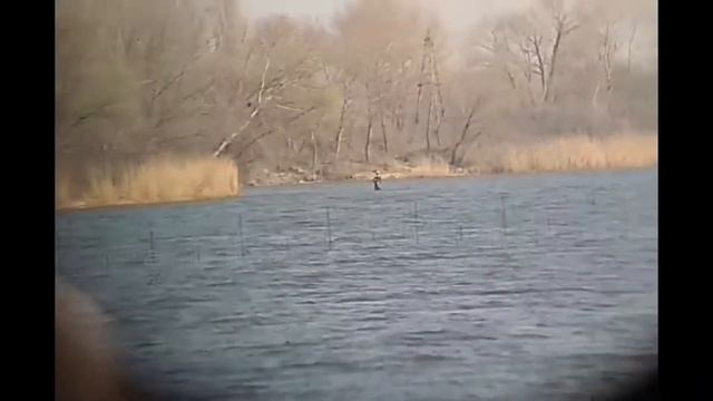 Бинокль Dienstglas 10x50 BLC+ (Оптическая Коллекция #2) смотреть онлайн