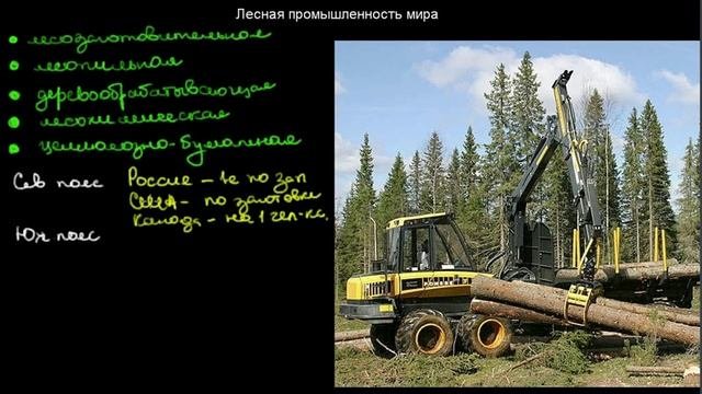 §365 Лесная промышленность мира