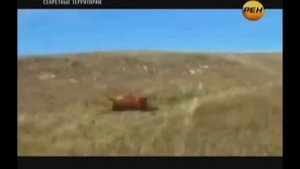 Рептилоиды среди нас  Шокирующие факты