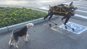 Собака против робота
