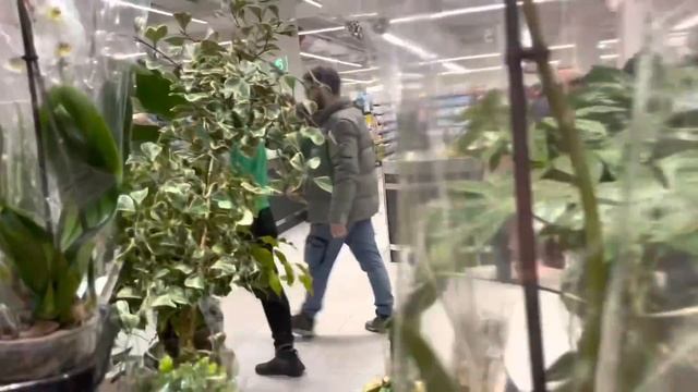 Может сесть на диету? ?Чтоб не ходить так удачно за хлебом…. смотреть онлайн