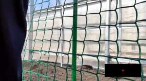 Супер Удобная и Красивая грядка в теплице для огурцов и томатов