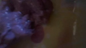 Minha slime criou fungo