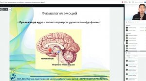 Мастерская для родителей. Тема 13. Как функционирует мозг ребенка с нарушением эмоц.сферы.mp4