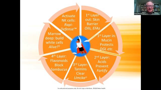 Immune Essentials with Dean Morris Natures Way смотреть онлайн