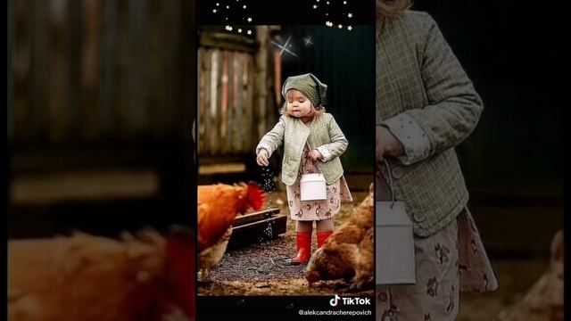 Смотреть видео онлайн