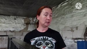 100% привес. делаем сами комбикорм для поросят.