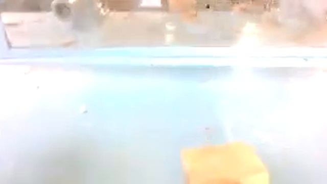 8 класс 9 школа)) смотреть онлайн