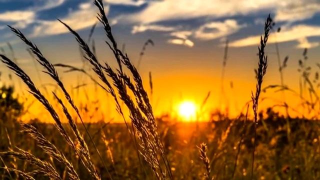 Самый длинный день в году. Как встретить летнее солнцестояние 2020. смотреть онлайн