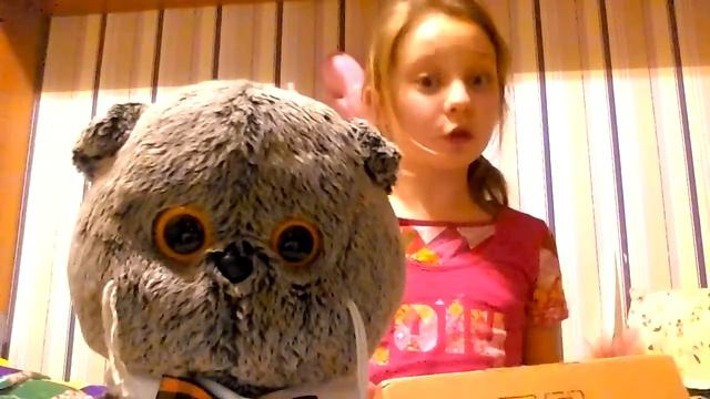 Обзор на котика басика смотреть онлайн