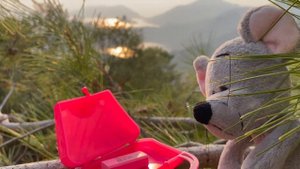 Mr Owl and His Bag (Episode 5), Simple Stories for Kids