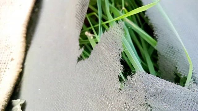 Спанбонд. Оригинал и подделка. Мульчирование клубники.