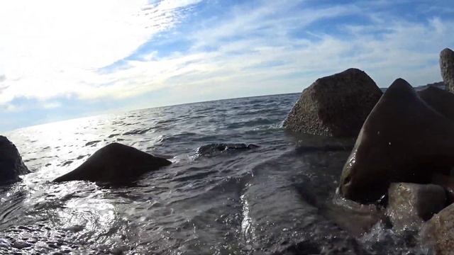 Эконом-отдых на море/пляж Фламинго/дельфины и русалка/ужин по-домашнему