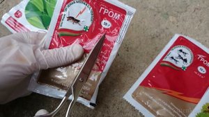 Эффективная борьба с муравьями