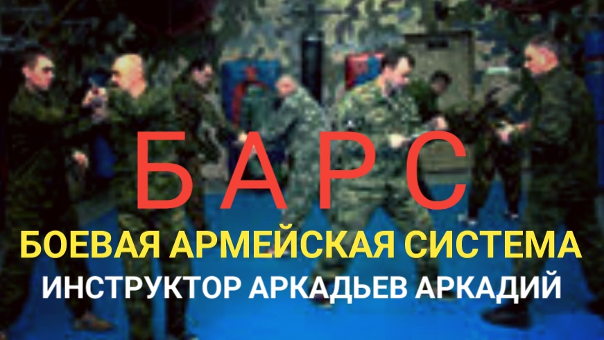 Инструктор Боевой Армейской Системы Аркадий Анатольевич.