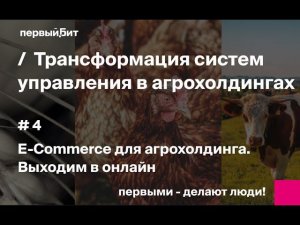 Часть 4: E-Сommerce для агрохолдинга. Цифровизация каналов продаж и закупок