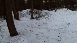 2023 ULTRA ноябрь 21 по первому снегу