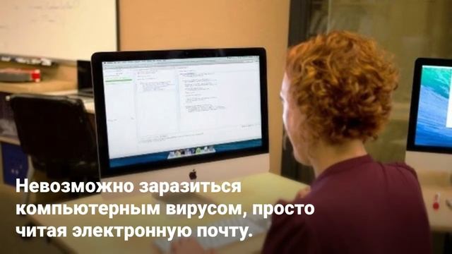 Интересные факты о компьютерном вирусе