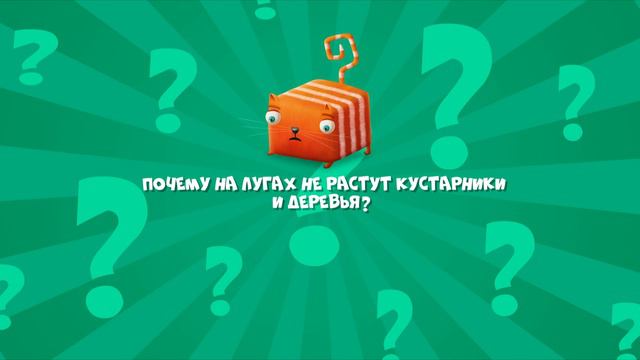 Развлечёба, 2 сезон, 224 выпуск. Про луг