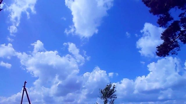 Vlog magico🦉🦎🕷🕸 #19.3 Работа на природе,магия друидов...Lavoro sulla natura, la magia dei druidi