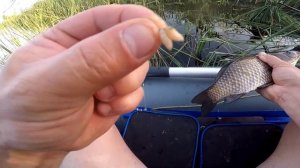 Ловля Карася и Линя на поплавочную удочку. Рыбалка на Поплавок!