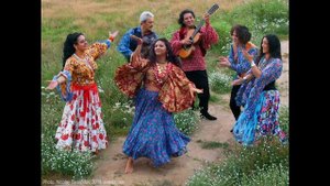 Вьюга, ты моя подруга - Цыганская красивая песня.