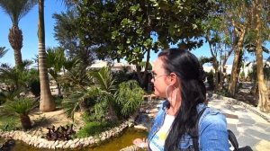 ЕГИПЕТ 2019 Отдых в Хургаде ВСЕ ВКЛЮЧЕНО Coral Beach Hurgada Resort ХУРГАДА влог (часть 1)