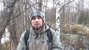 Сабельник болотный - чудо растение восстанавливающее весь организм и иммунитет
