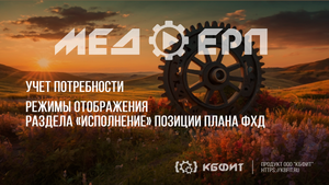 КБФИТ: МЕДЕРП. Режимы отображения раздела «Исполнение» позиции плана ФХД.