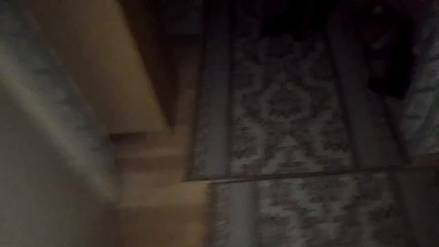 Кот Марс. Ночные побегушки с воплями. смотреть онлайн