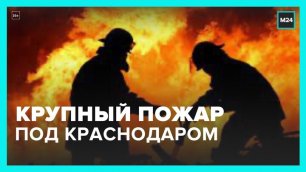 Крупный пожар начался на юге Красноярского края - Москва 24