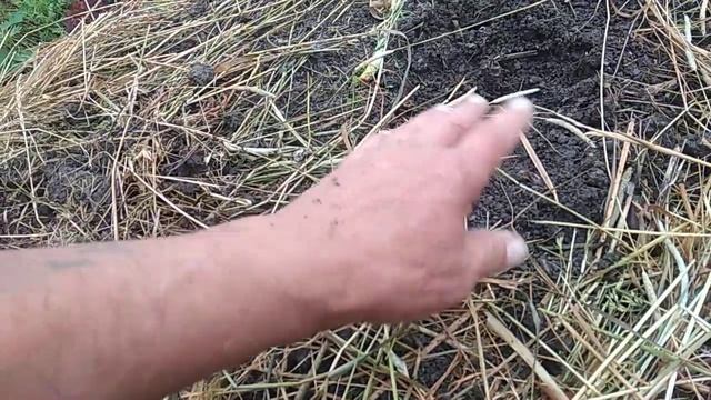 Как сделать почву рыхлой смотреть онлайн