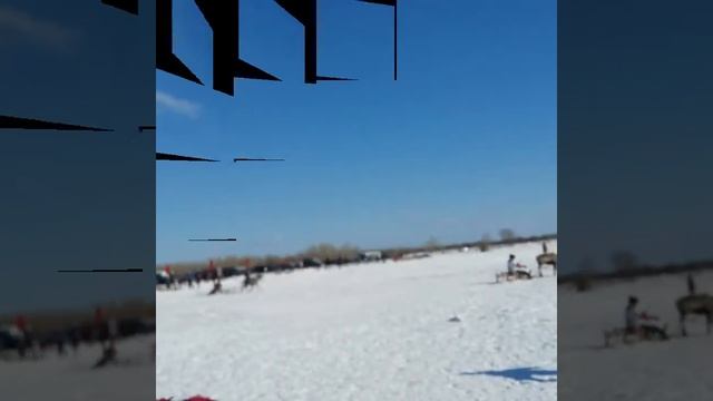День Оленеводов   Якутск 2017 смотреть онлайн